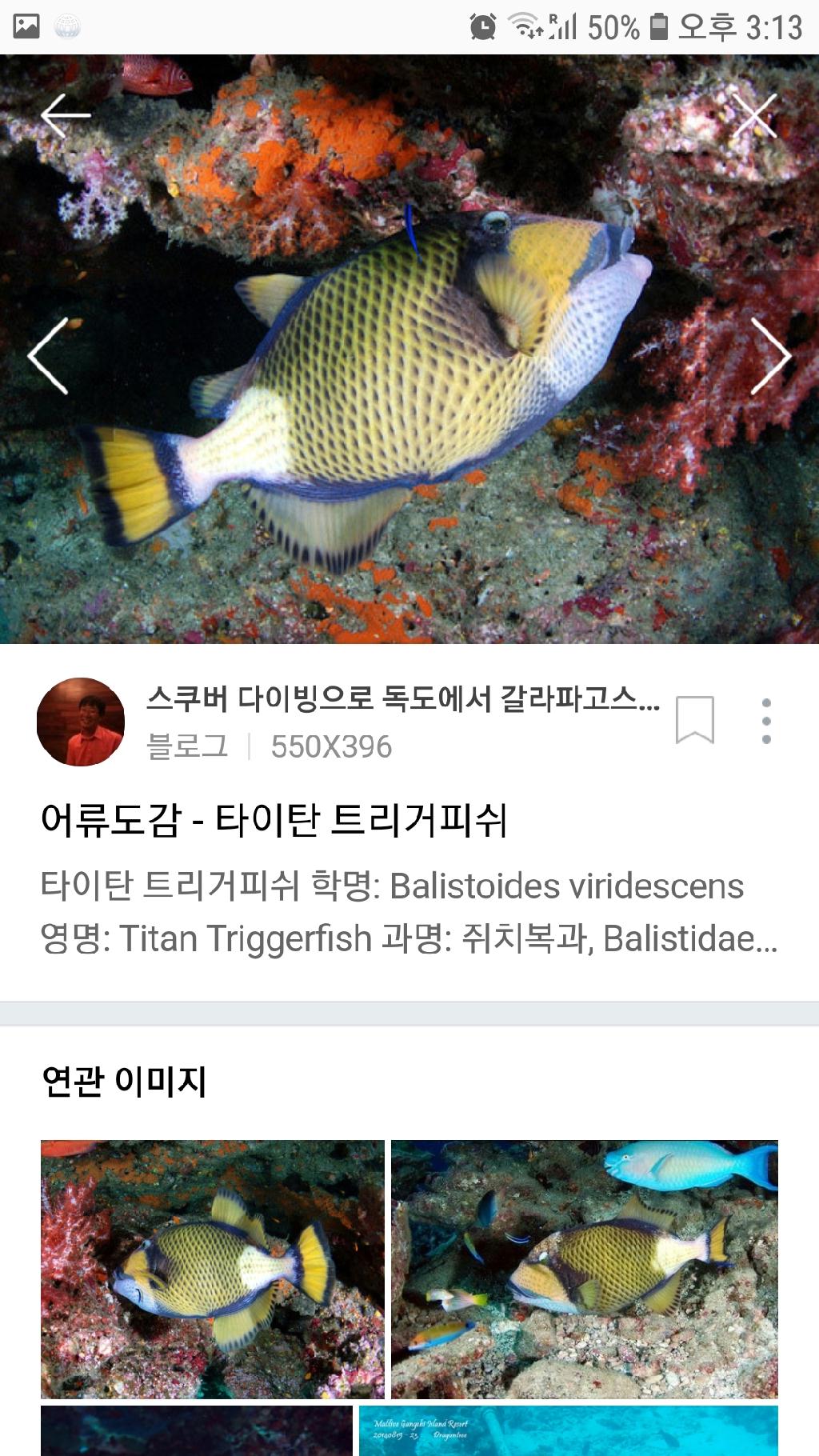 툴람밴 - 리버티호난파선