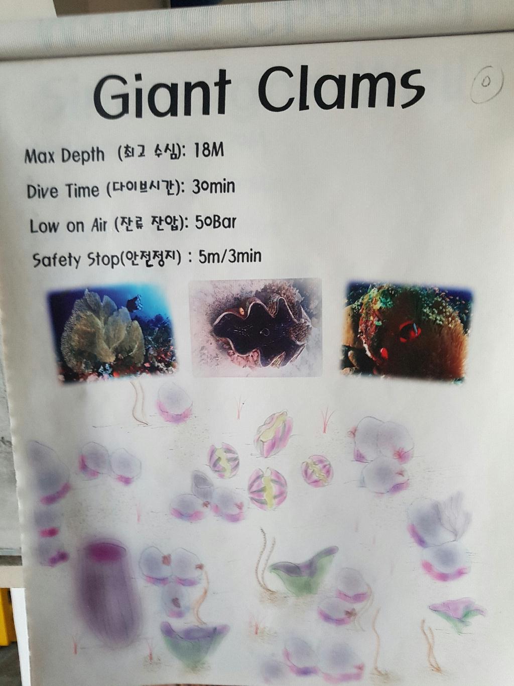 펀다이빙 사방2-14 - sabang beach - giant clam