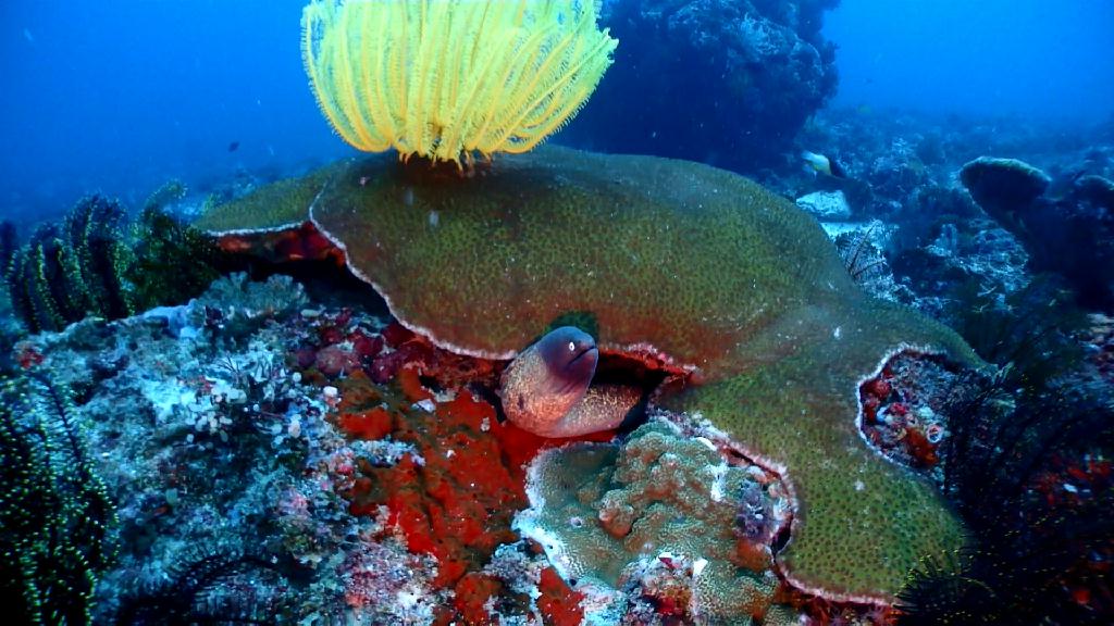 릴로안 투어 - Cebu Liloan Kingdom resort - Nobless