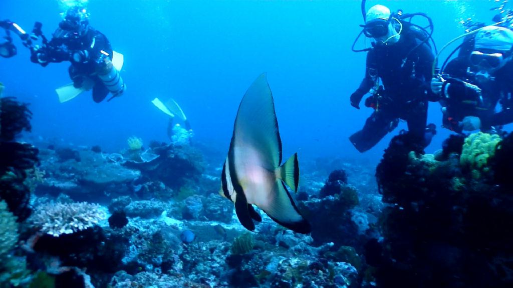 릴로안 투어 - Cebu Liloan Kingdom resort - Nobless