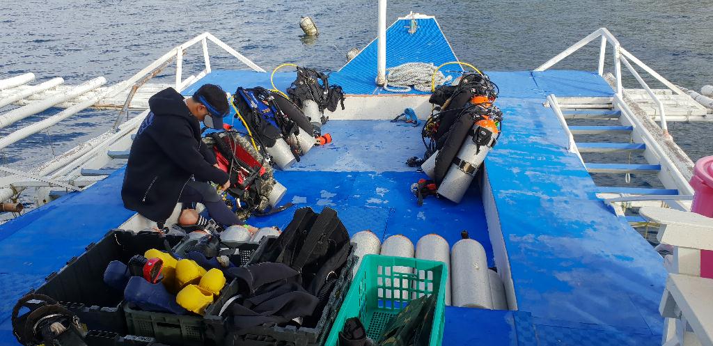 Apo Island 투어 - Cebu Liloan Kingdom resort - Apo Island Coconut