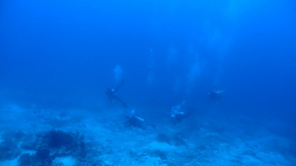 수밀란 지역 - Cebu Liloan Kingdom resort - Sumilon Fish Bank