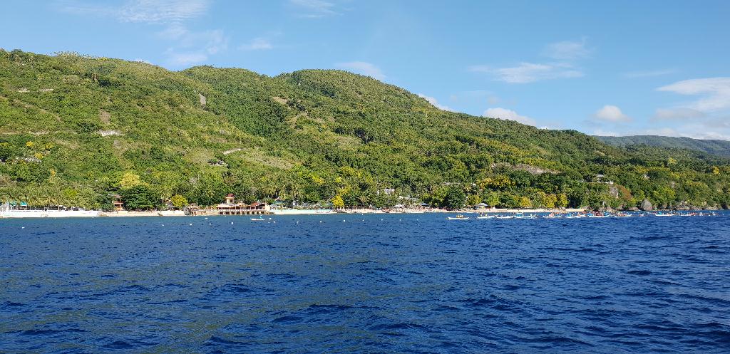 고래상어 관찰 - Cebu Liloan Kingdom resort - Oslob Whale Shark