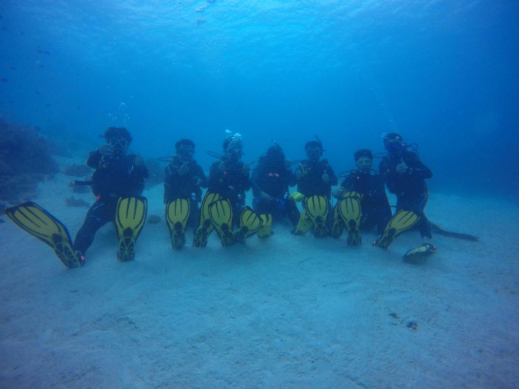 어드 피시 식별 - 보홀오션어스 - 보홀 노바비치