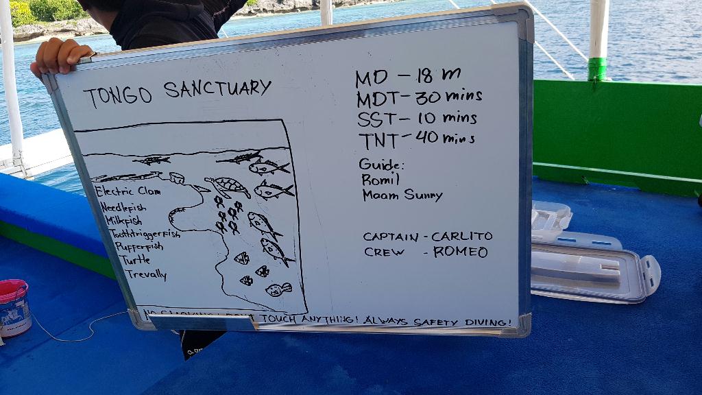 모알보알 라이언 - TONGO POINT