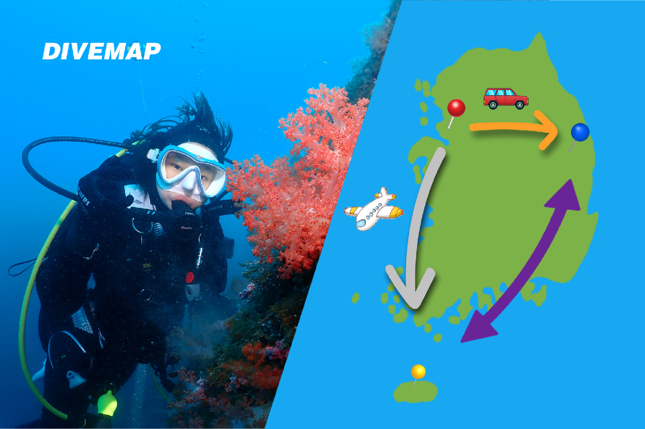 서울 / 제주도 연계 PADI 스쿠버 다이빙 교육(오픈워터) 코스