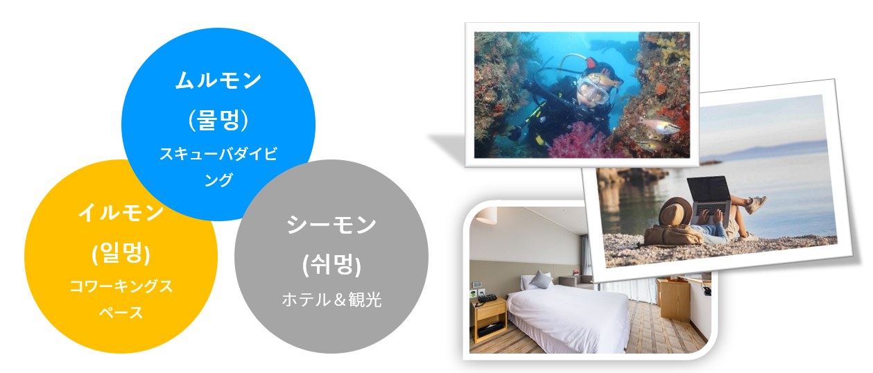 済州島（チェジュ島）ワーケーションプログラム