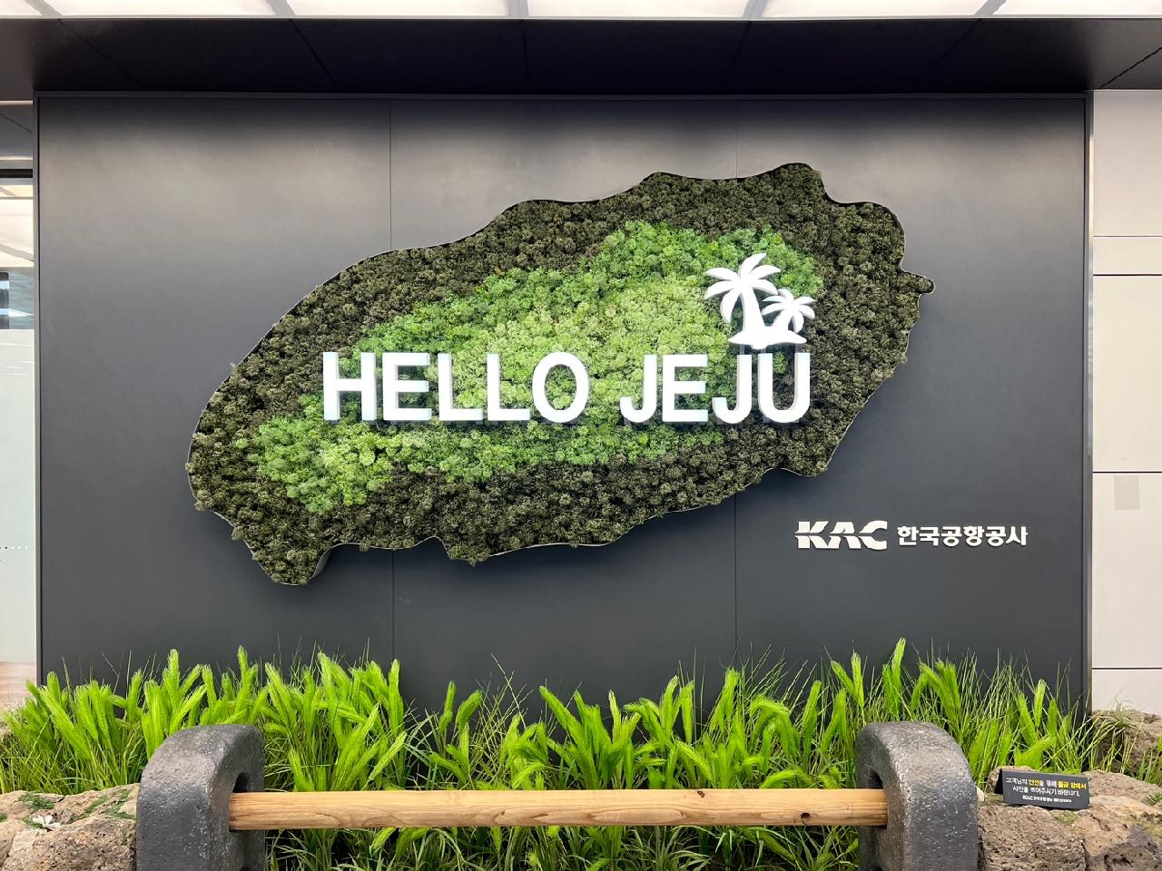 예비 신혼부부, 제주도 오픈워터 자격증 따기 !!