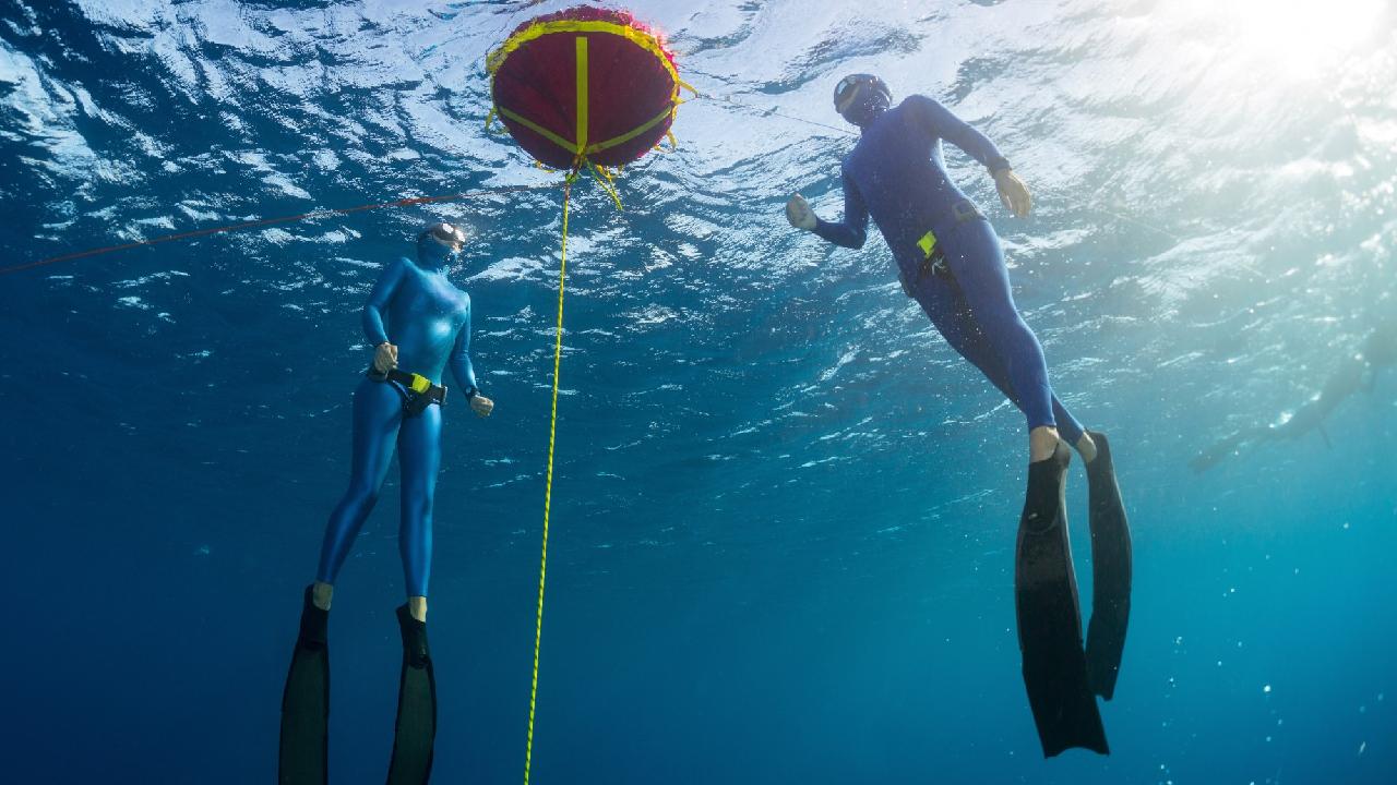 프리 다이빙이란 - What is Free Diving