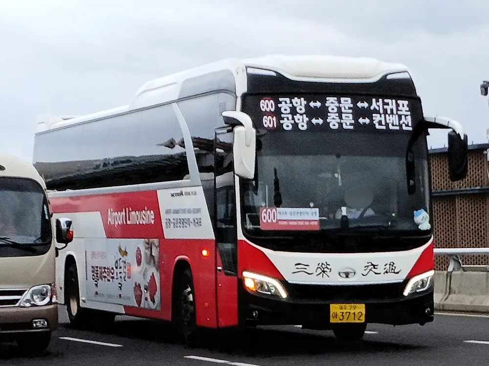 🚏 Airport Bus Information