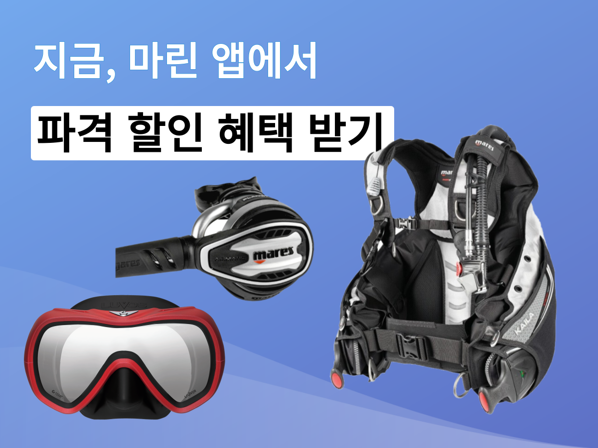 다이브맵 제주도 스쿠버 다이빙 예약하고 파격 할인 혜택 받으세요.