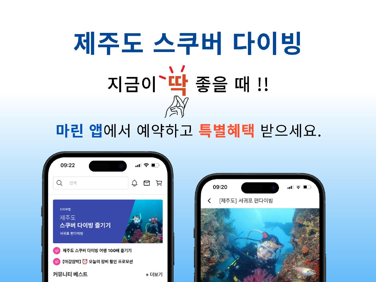다이브맵 제주도 스쿠버 다이빙 예약하고 파격 할인 혜택 받으세요.