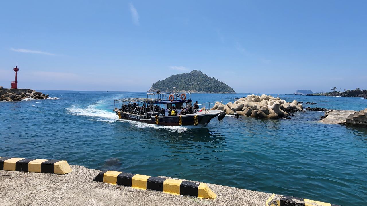 Jeju Scuba Diving – What Makes It So Special?