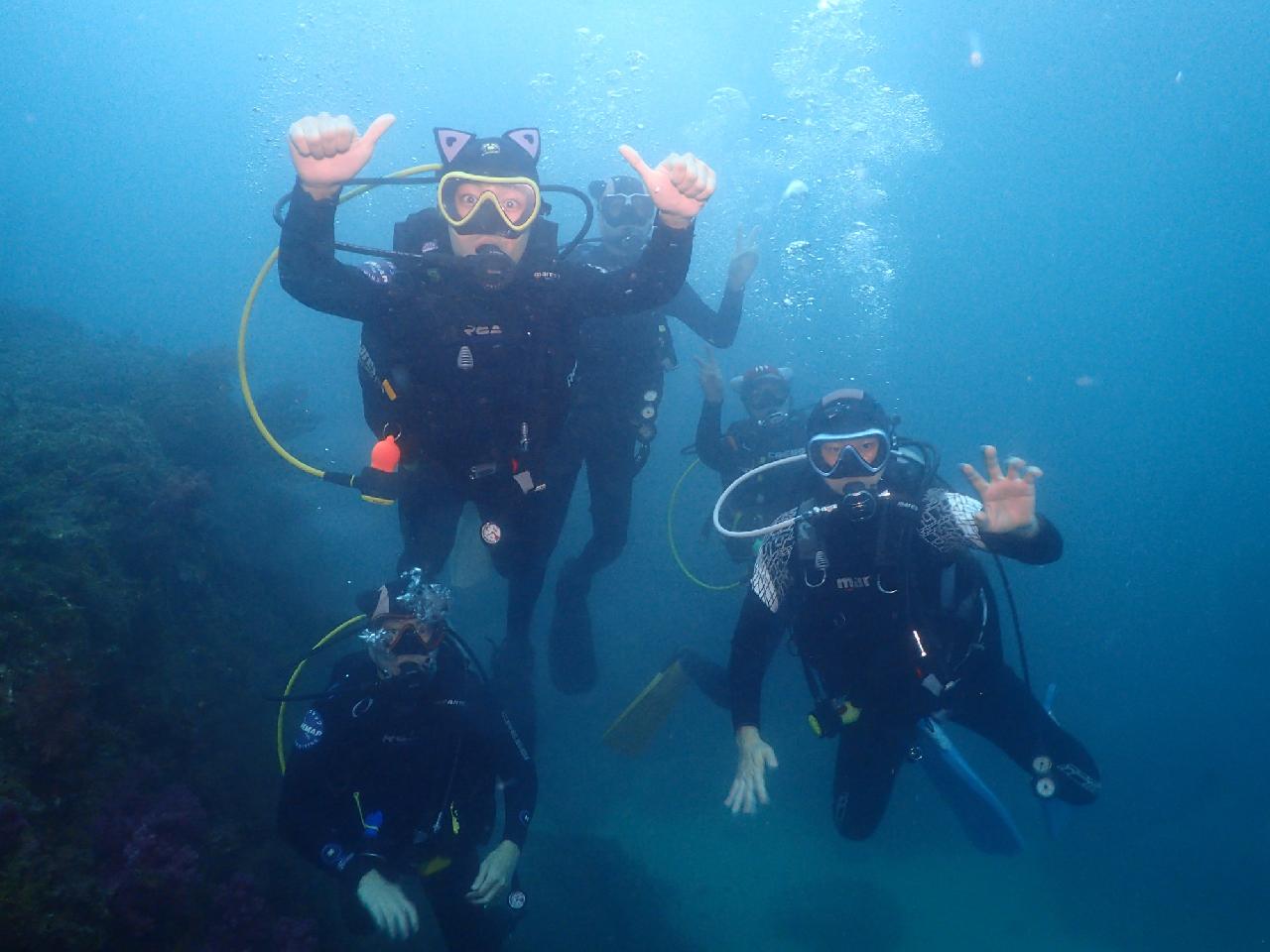 5 Scuba Diving Teammates from Osaka – The Breathtaking Underwater View of Jeju Sea After the Rain