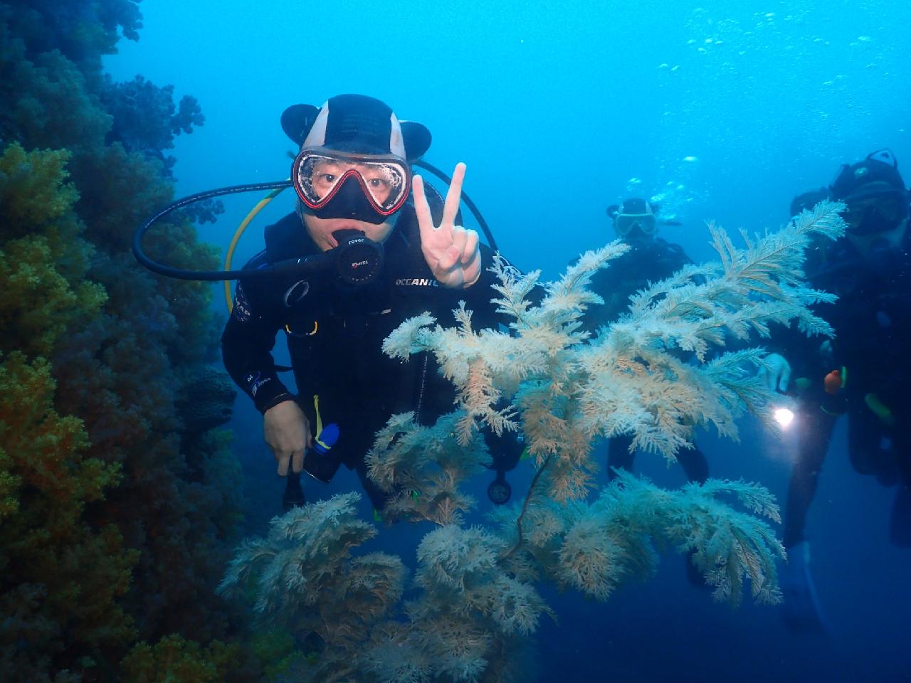 5 Scuba Diving Teammates from Osaka – The Breathtaking Underwater View of Jeju Sea After the Rain