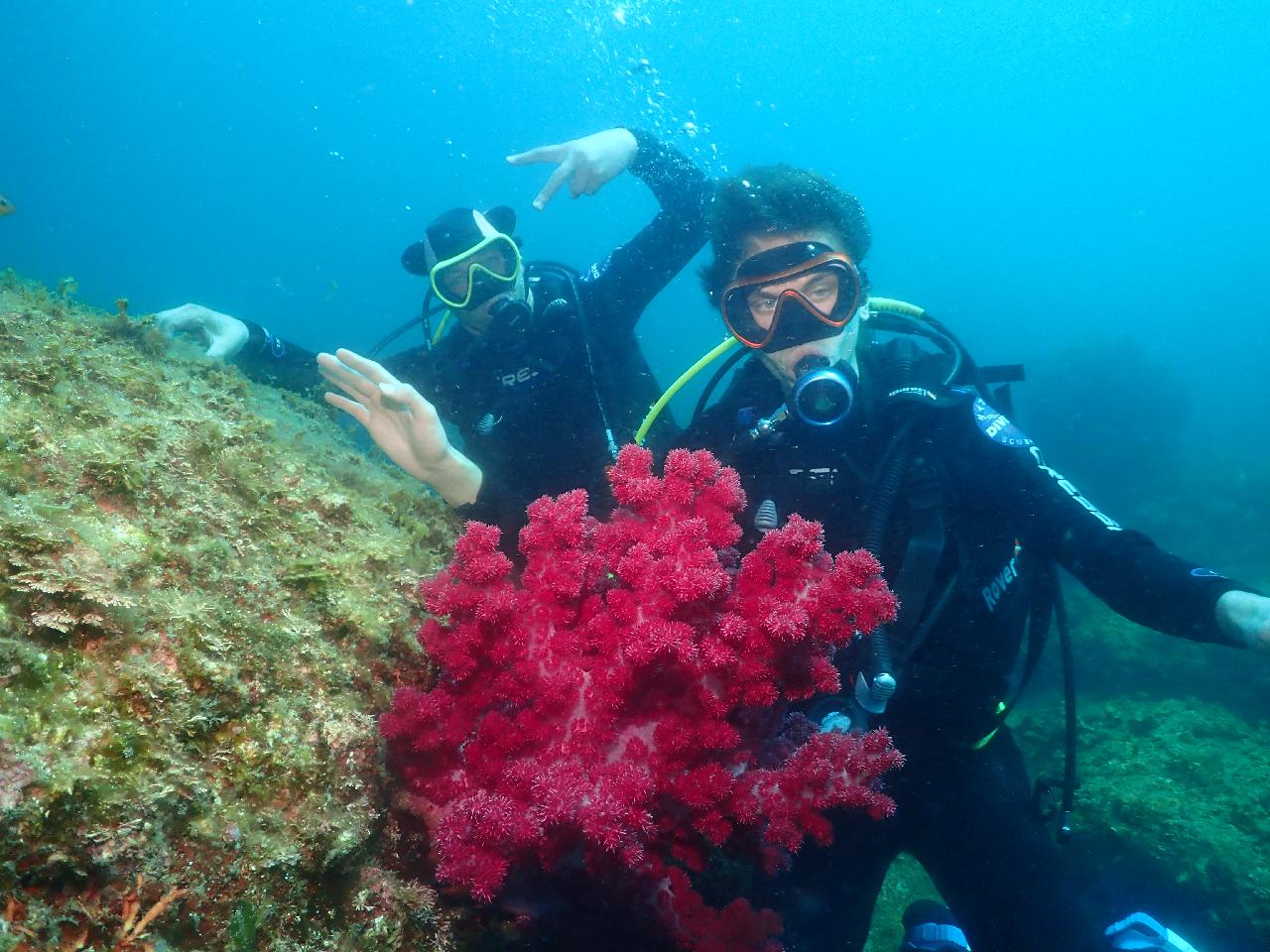 A Special Day in Jeju: A Russian Family’s Scuba Diving Adventure on Their Last Day
