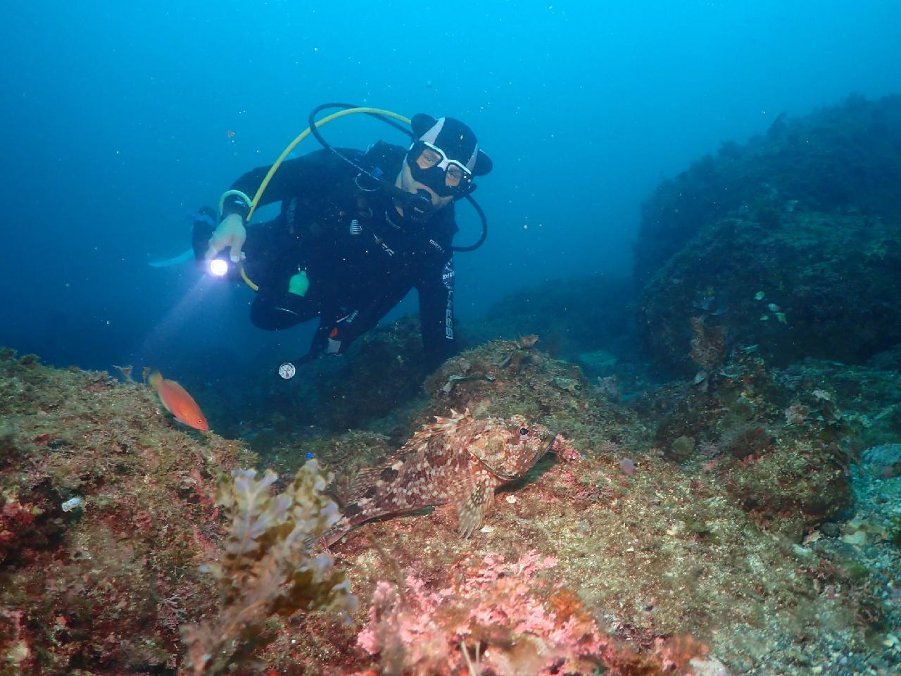 済州の海を初めて訪れたデンマークのダイバー家族と行く、西帰浦・ボムソムファンダイビング