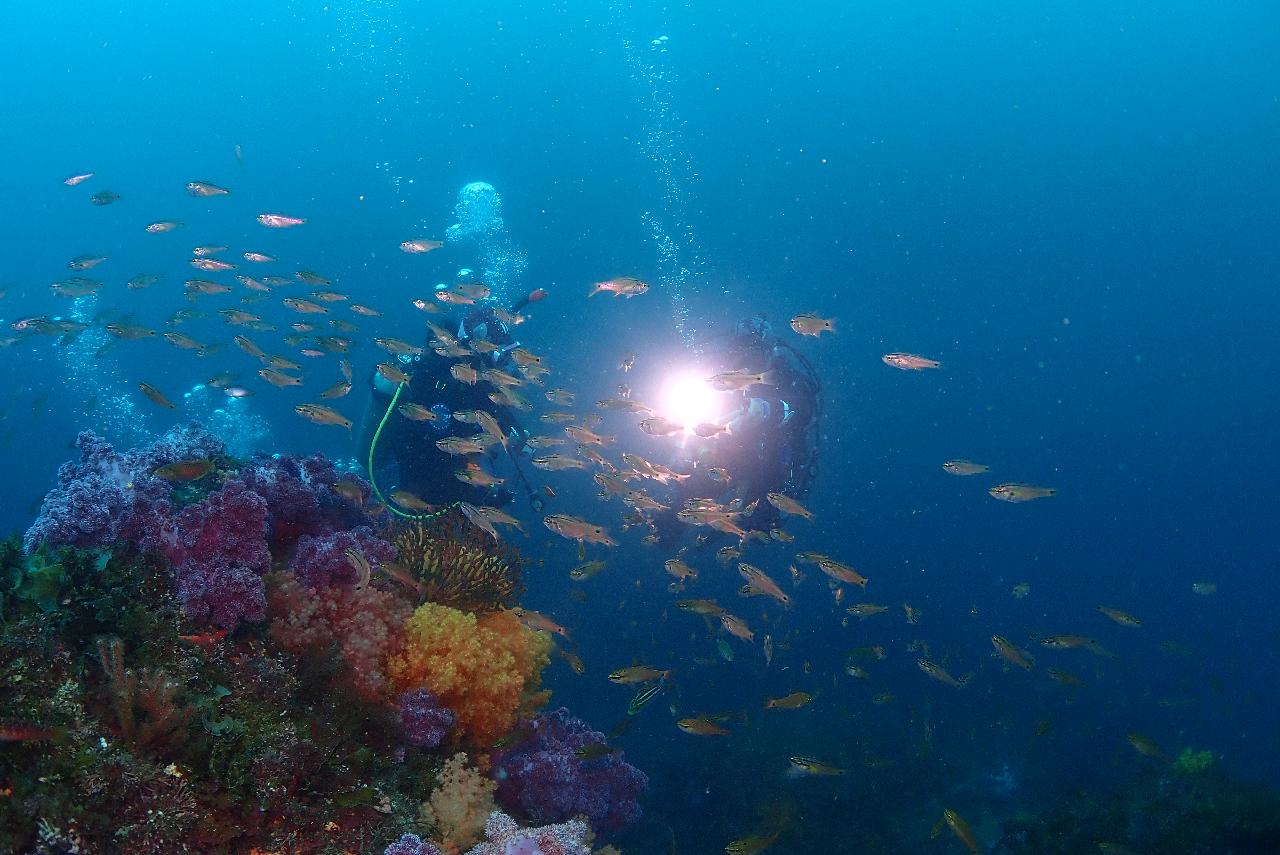 文島（ムンソム）・虎島（ボムソム）・森島（ソプソム）の水中庭園