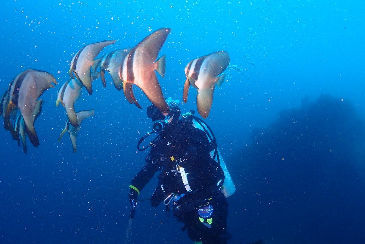Enjoying the Underwater World at Your Own Pace