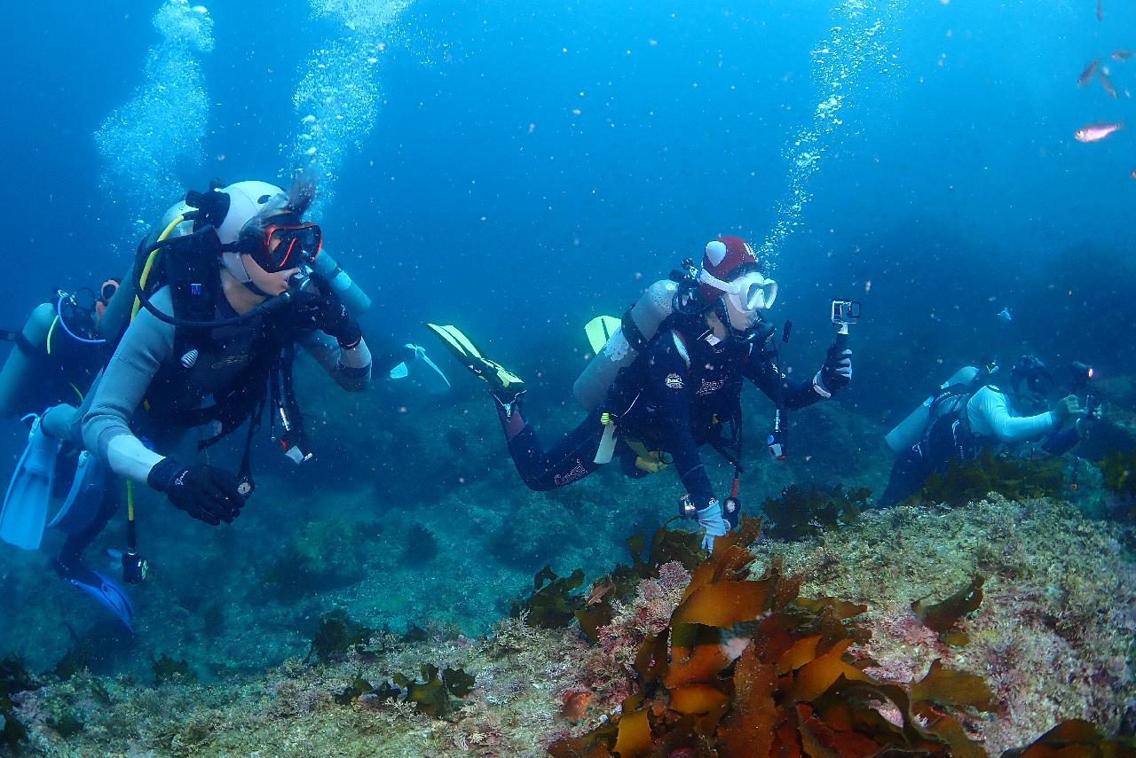 A Slightly Special Dive in the Jeju Sea