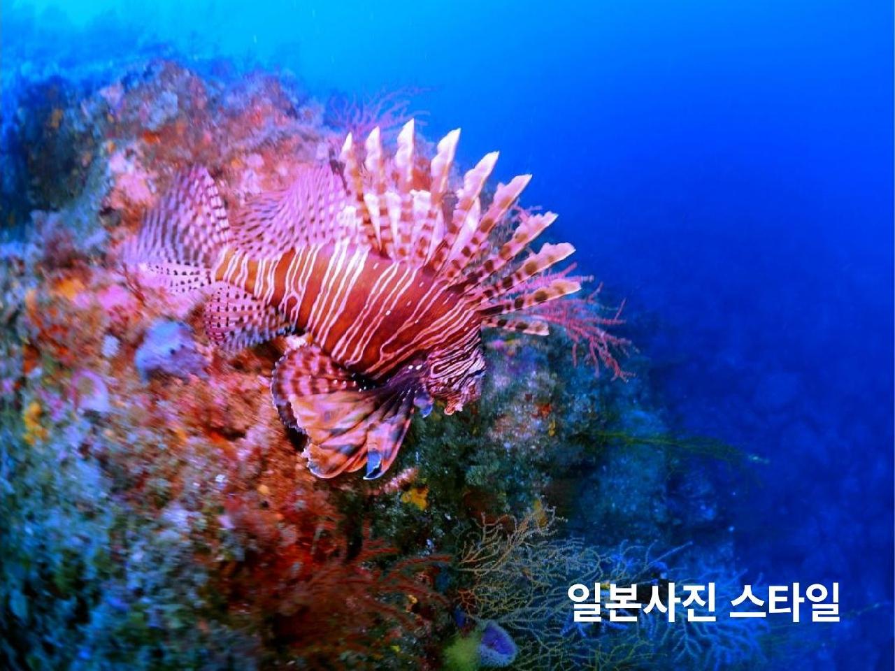 바다를 담는 2개의 시선