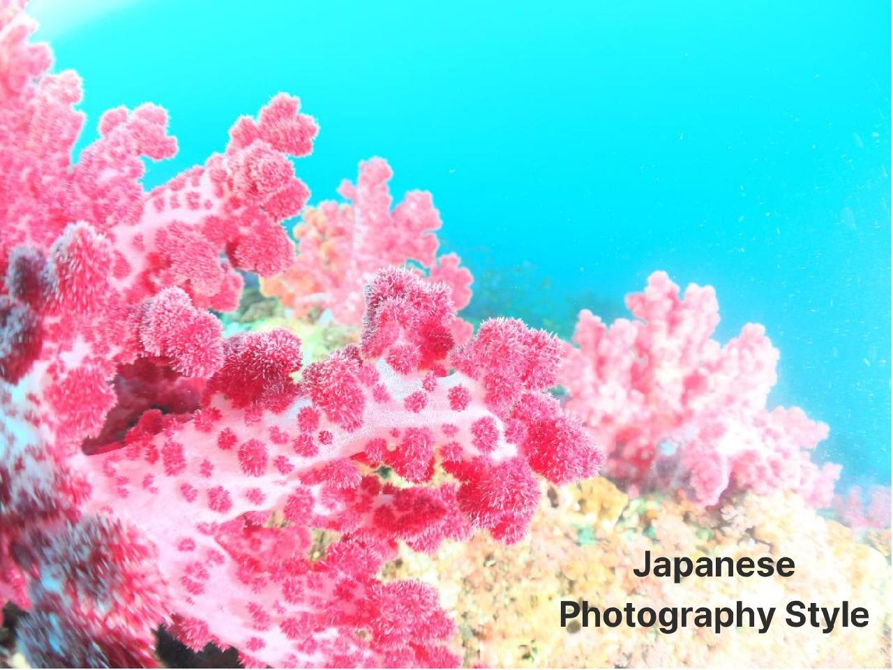 Japanese Underwater Photography: Capturing the Ocean in Soft, Pastel Dreams