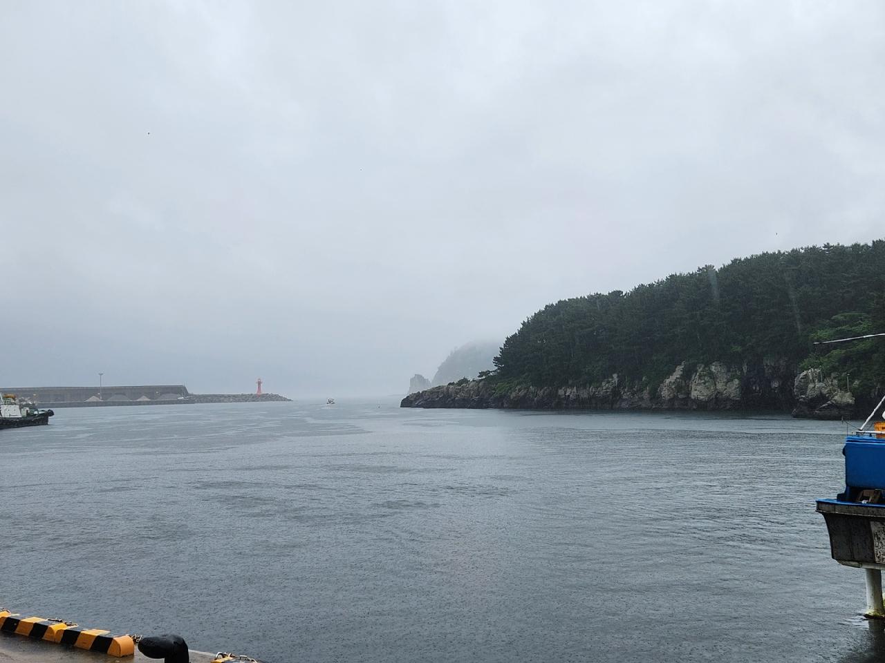 운 좋은 날