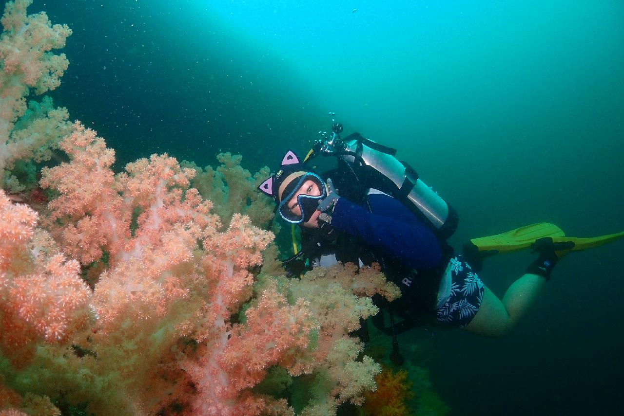 Fantastic Jeju-island Beomseom Diving