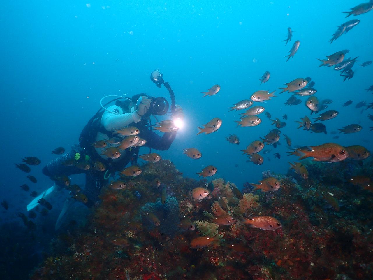 환상적인 제주 서귀포 제지기 포인트