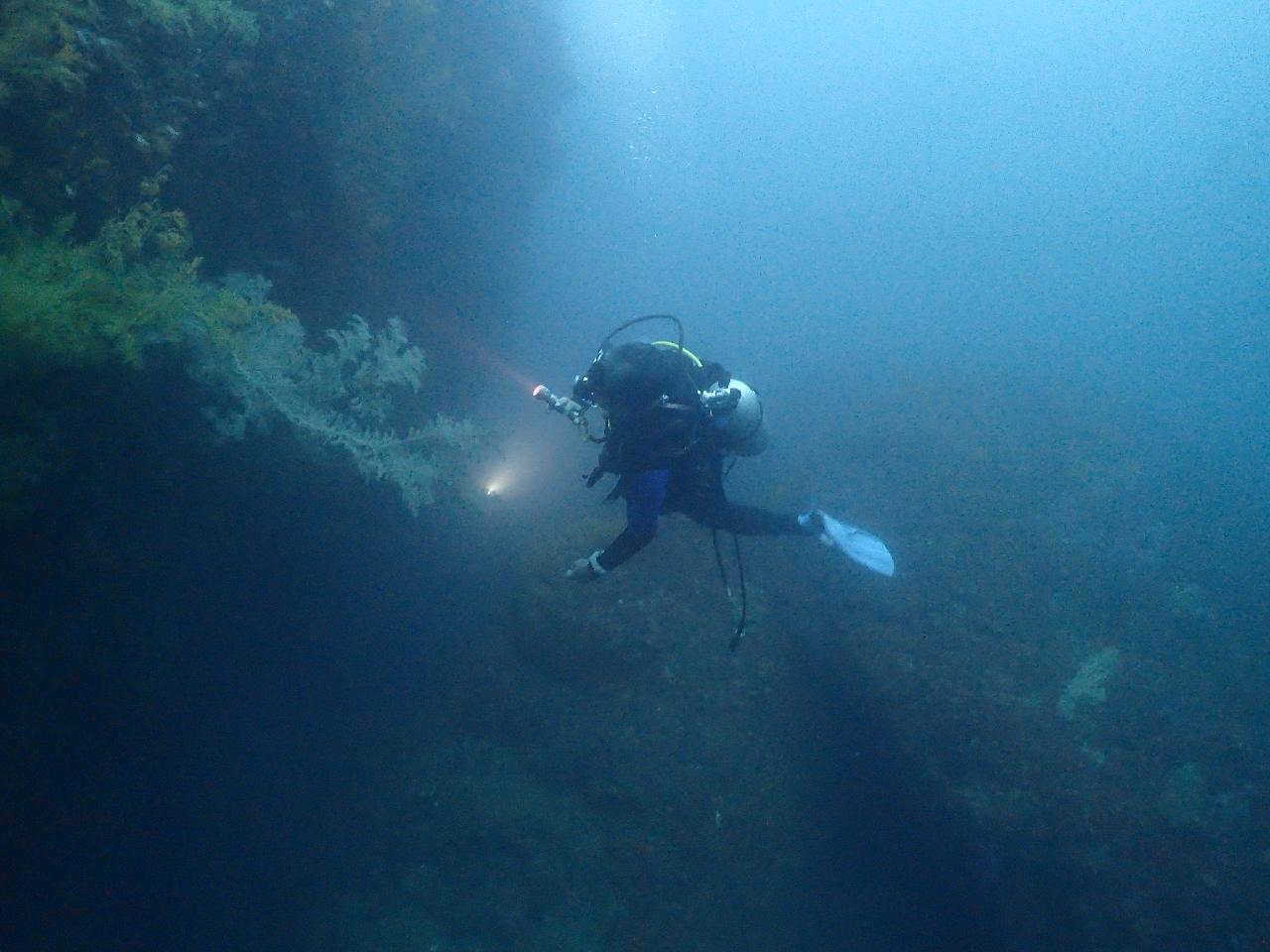 ジェジギ（Jejigi）ポイント紹介 - 済州島 西帰浦