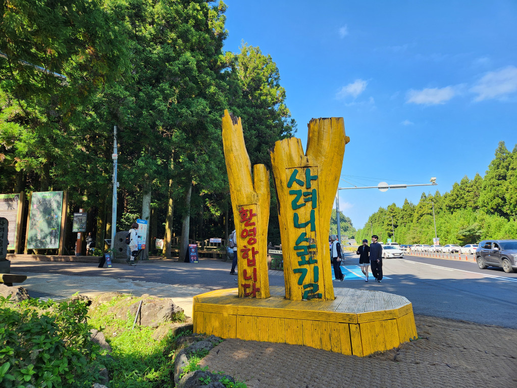 제주도에서 스쿠버와 힐링 트래킹을 한 번에 ! 제주 사려니숲길