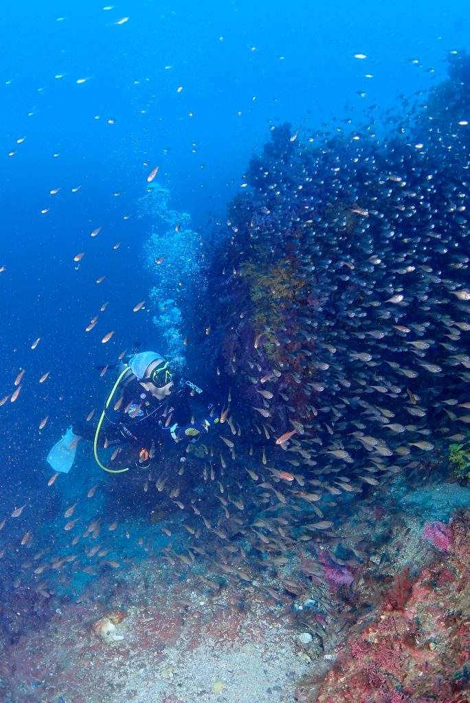 October is the high season for scuba diving in Jeju!