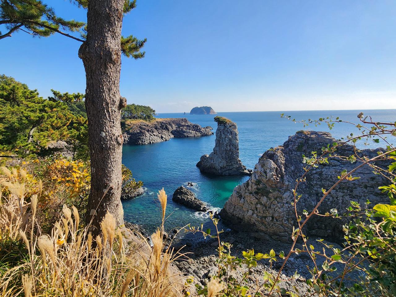 Seogwipo Oedolgae Olle Trail Course 7 (Post-Dive Walking Route)