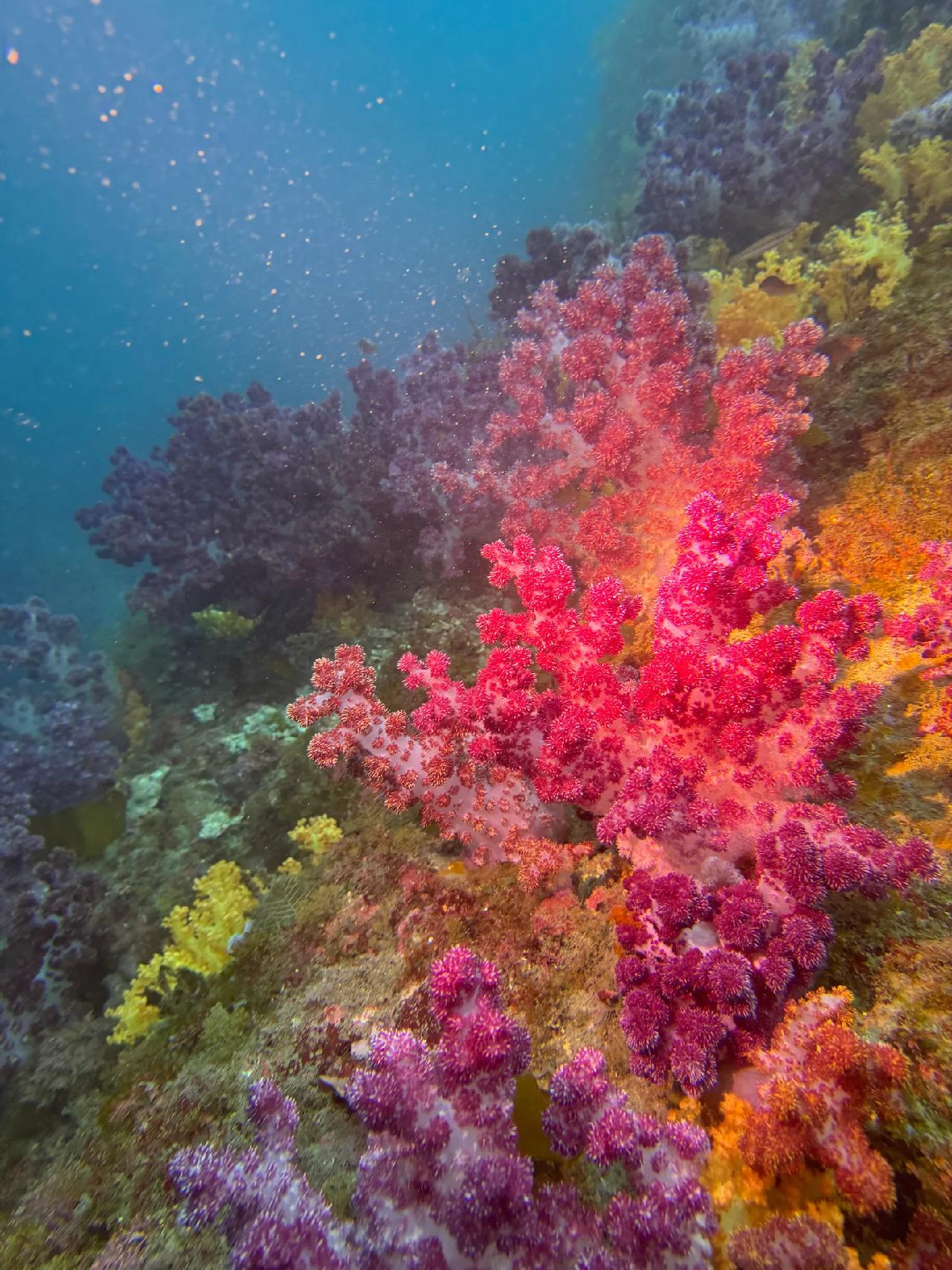 済州島の海と温かいランチに癒されました