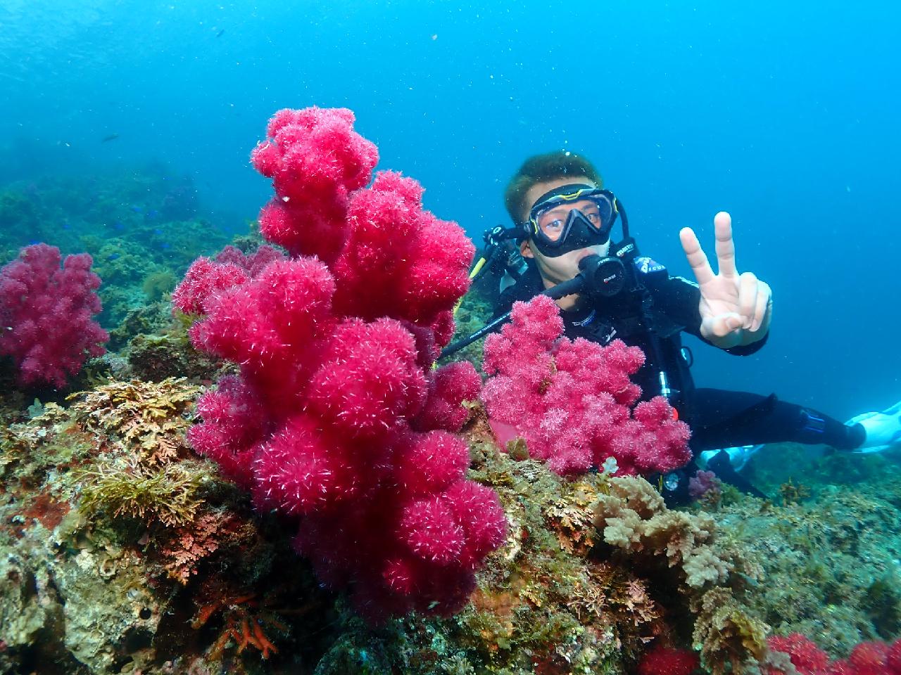 社員旅行中に急遽訪れた済州（チェジュ）の海！大満足で終えた4名の体験ダイバー