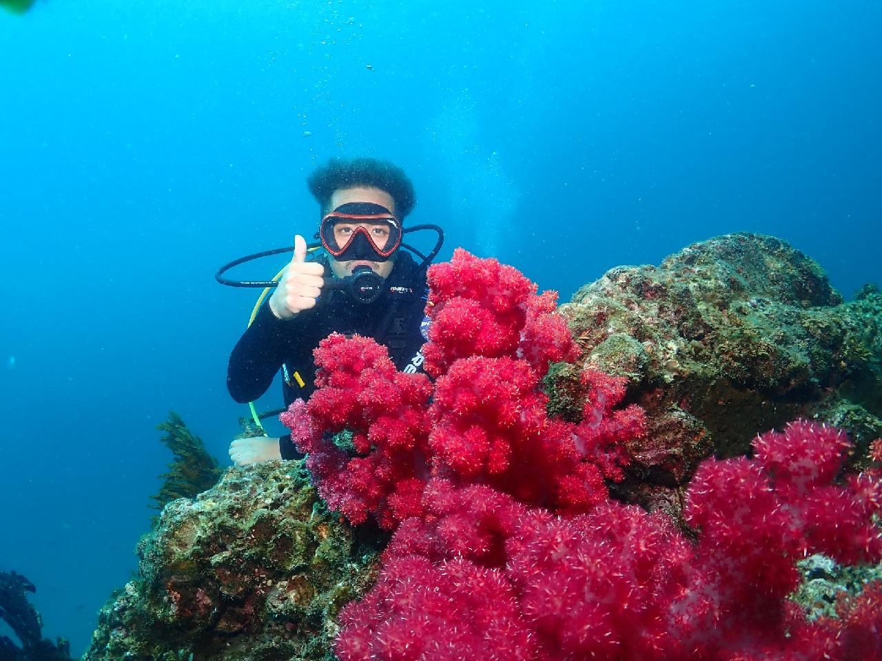 社員旅行中に急遽訪れた済州（チェジュ）の海！大満足で終えた4名の体験ダイバー