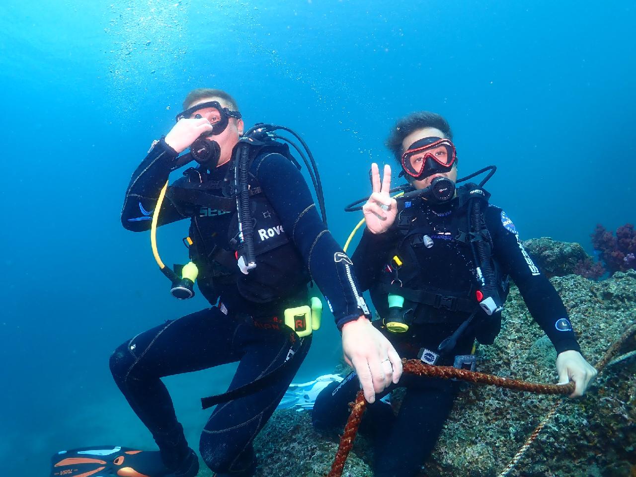 4 First-Time Divers on a Company Trip: A Last-Minute Rush to the Jeju Sea Ends in Absolute Delight!