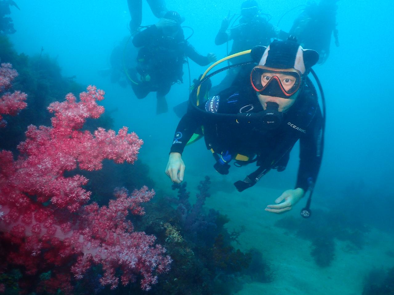 安心のサポートで満喫した、チェジュ島ダイビング！