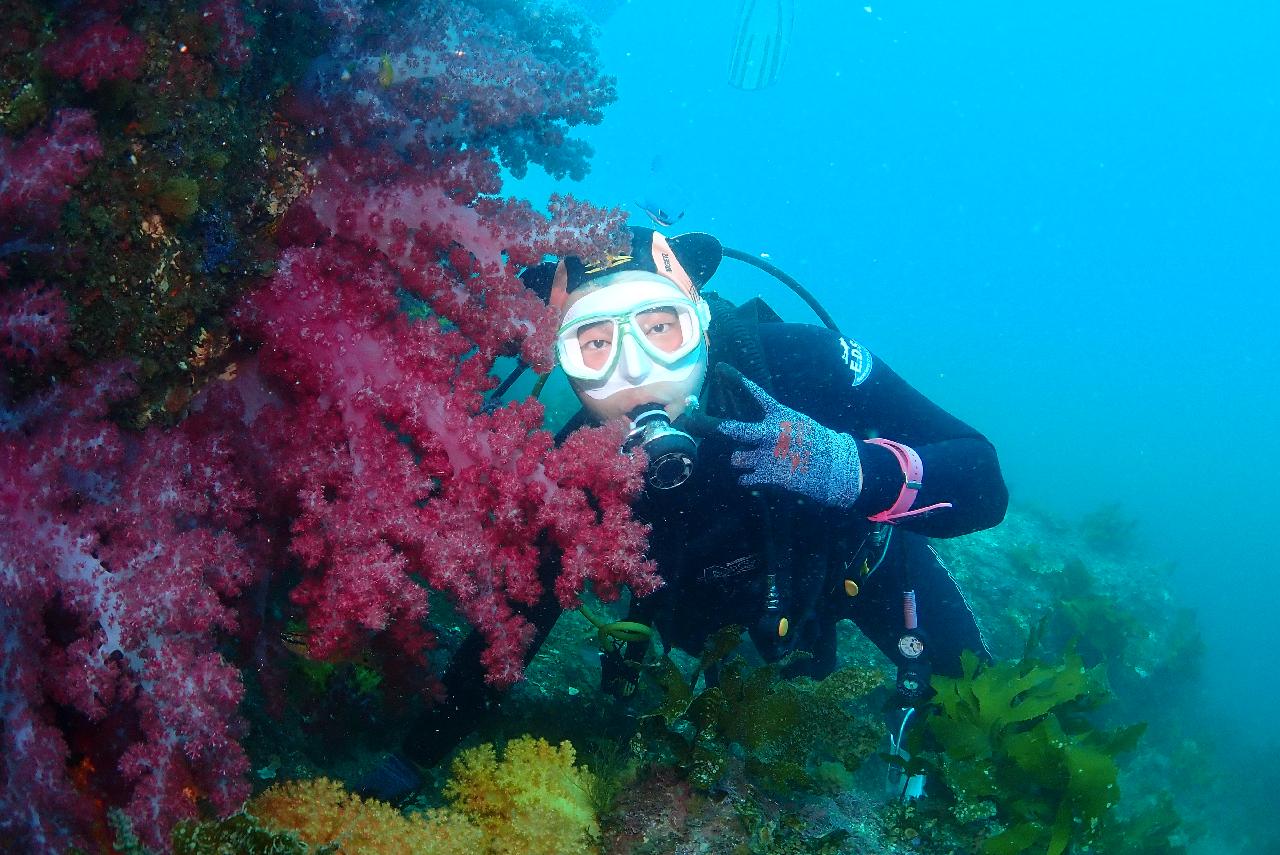 ダイブマップ(DIVEMAP)の『お任せダイビング』