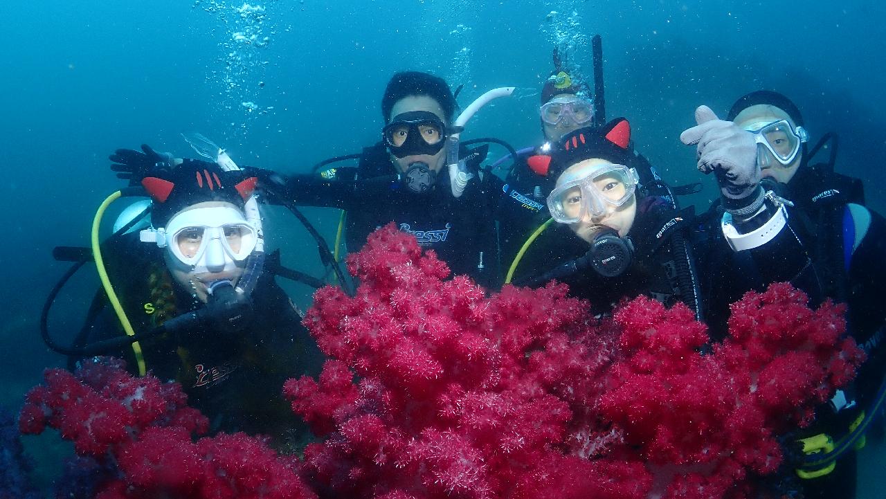 Jeju Island Discover Scuba Diving