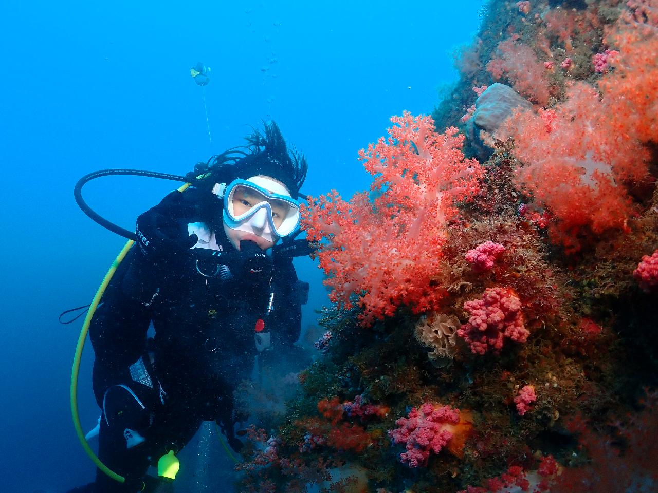 Jeju Island Discover Scuba Diving