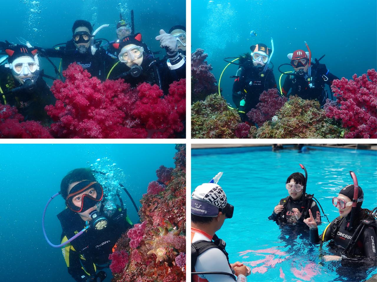 Jeju Island Discover Scuba Diving