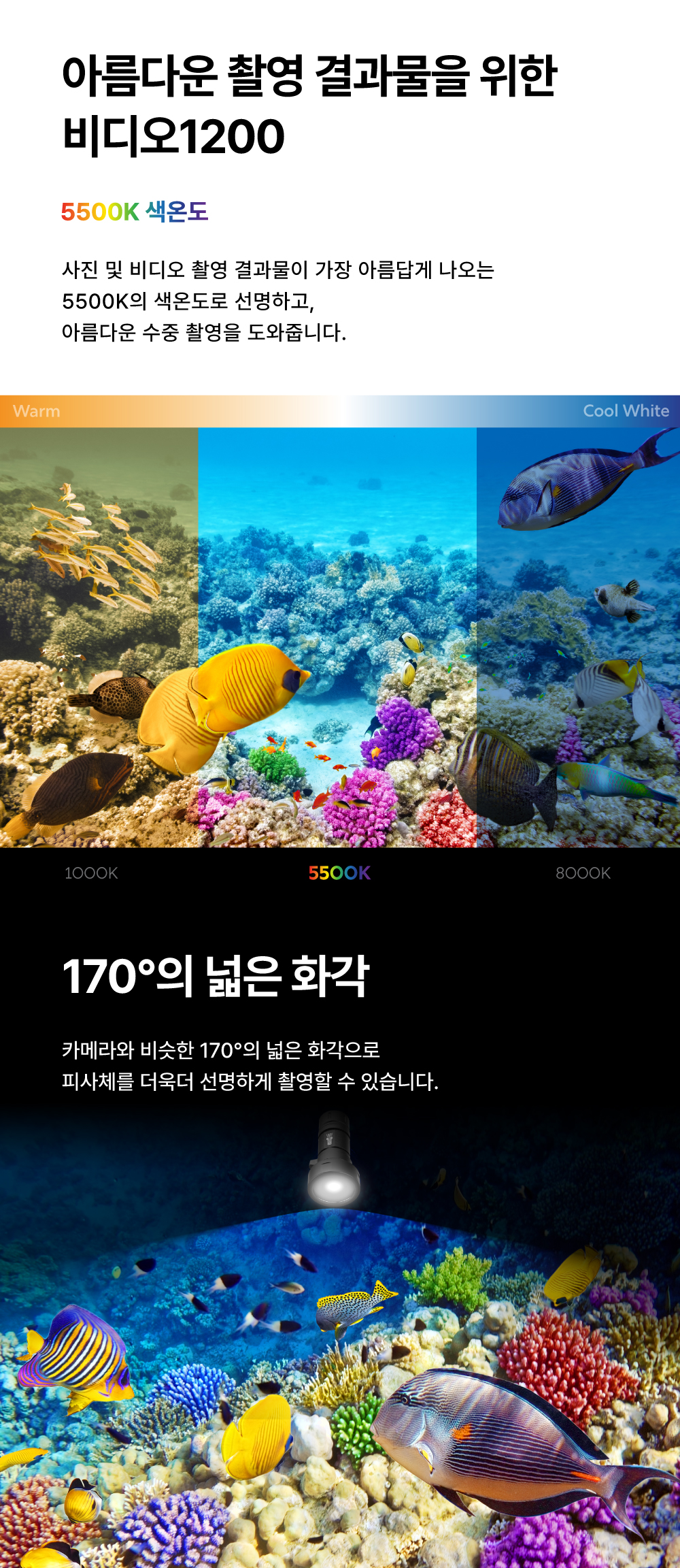 [라이칸] VIDEO1200