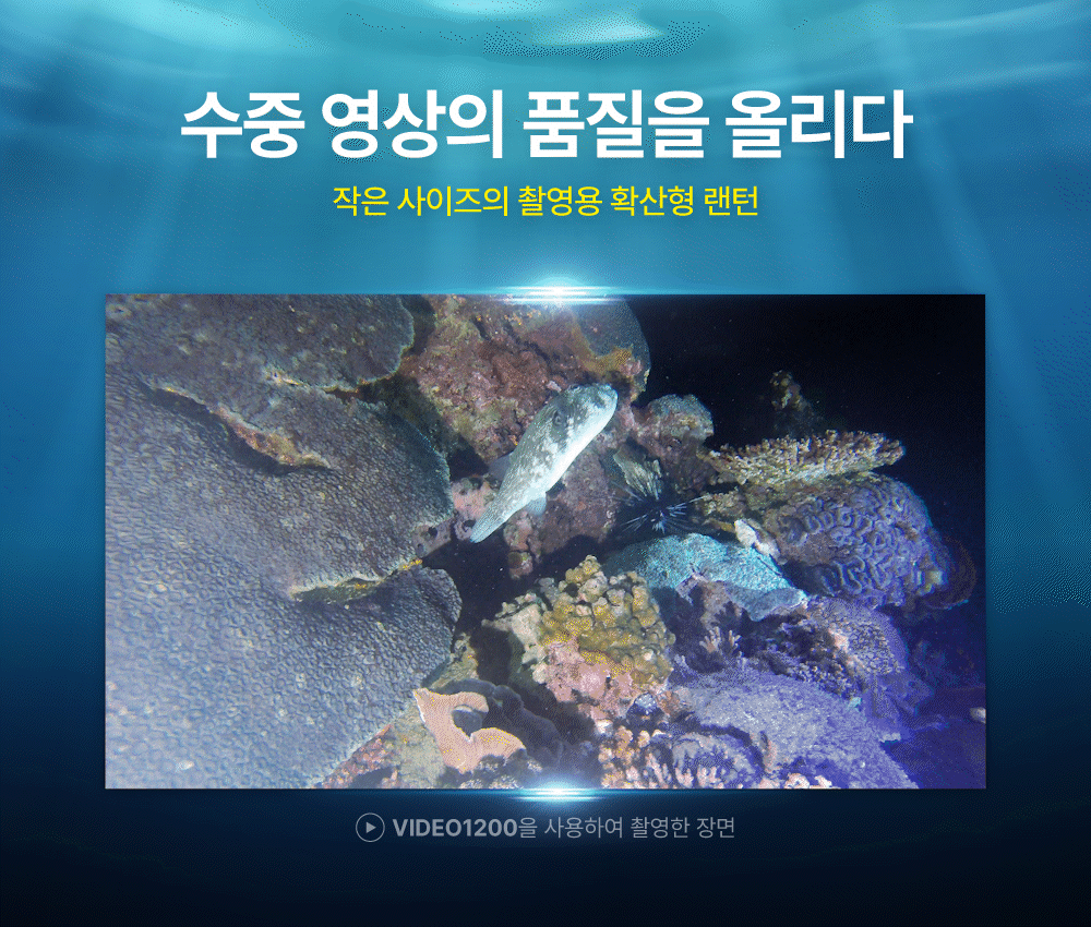 [라이칸] VIDEO1200