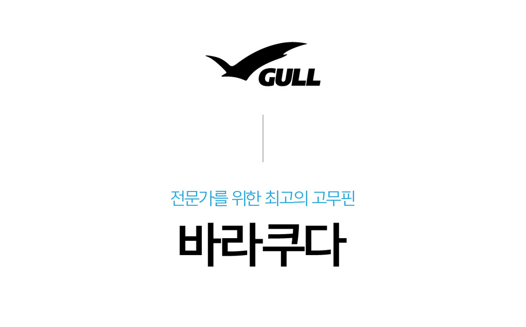 [GULL] 바라쿠다