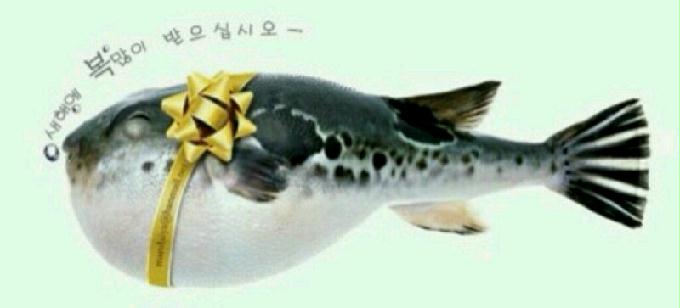 2014년도 화이팅!!