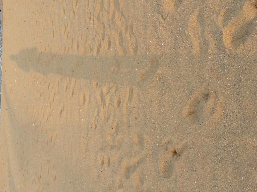 바다가 그리워...무작정 찾아간 바닷가...그곳에 