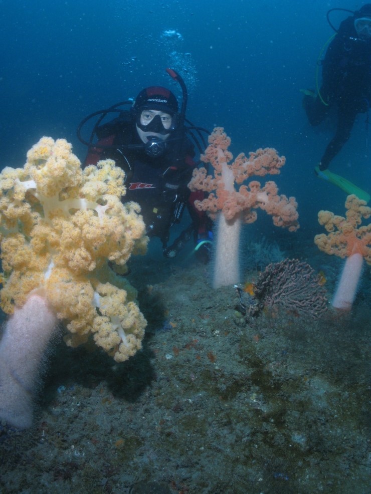 매번 찍기만 하다가 오랜만에 찍히니 어색한걸~ㅋㅋ