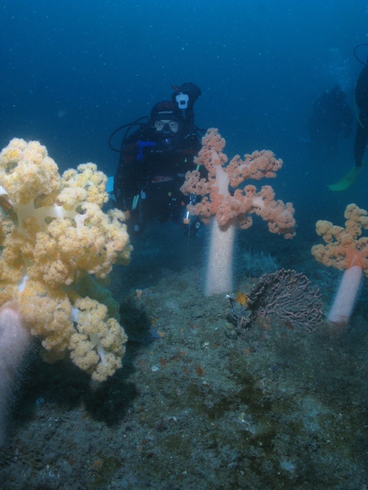 매번 찍기만 하다가 오랜만에 찍히니 어색한걸~ㅋㅋ