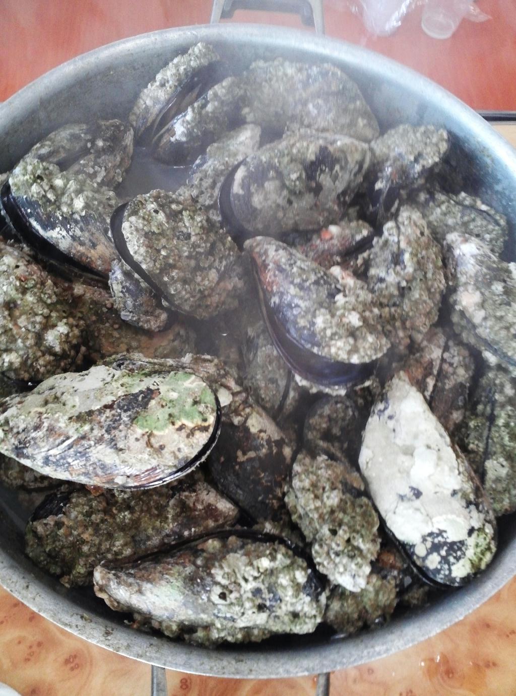 10월 20일 오전 다이빙을 하려 했으나 비바람에 날씨